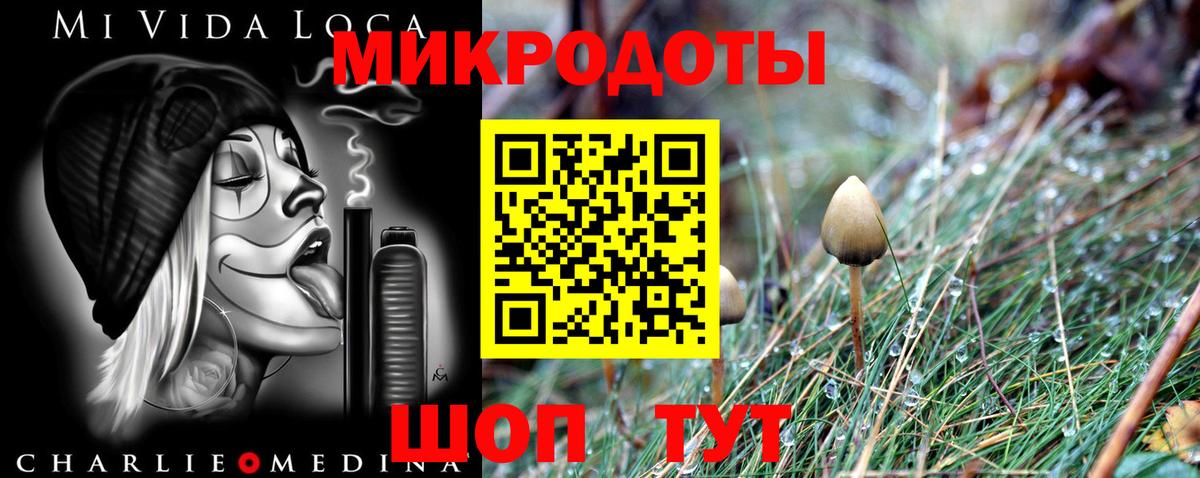 Галлюциногенные грибы мухоморы Избербаш