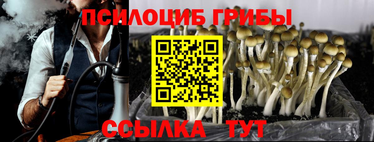 Избербаш  Галлюциногенные грибы Magic Shrooms  Вход с VPN 
